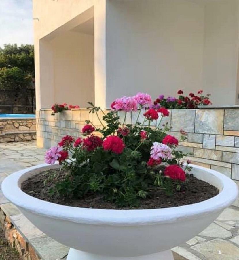 Villa Spartias Skiathos Town Luaran gambar